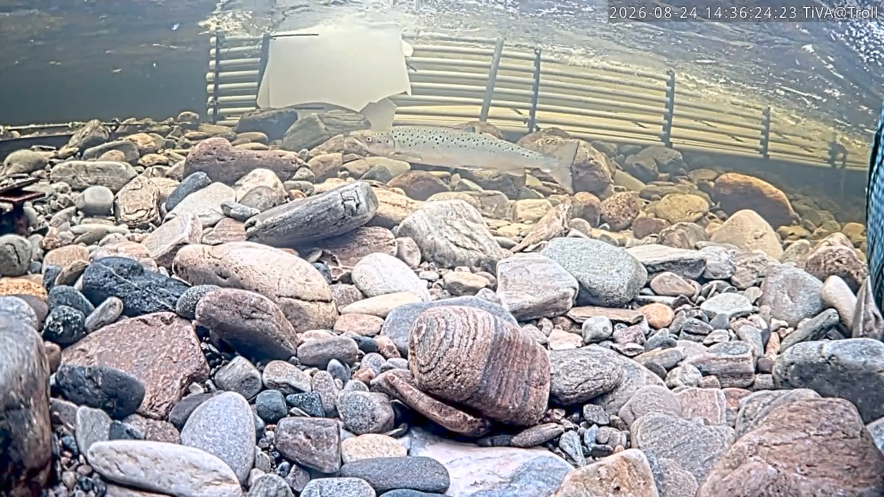 Video 2026-08-24 14:36