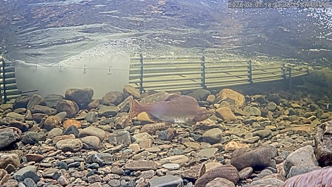 Video 2026-08-07 18:33