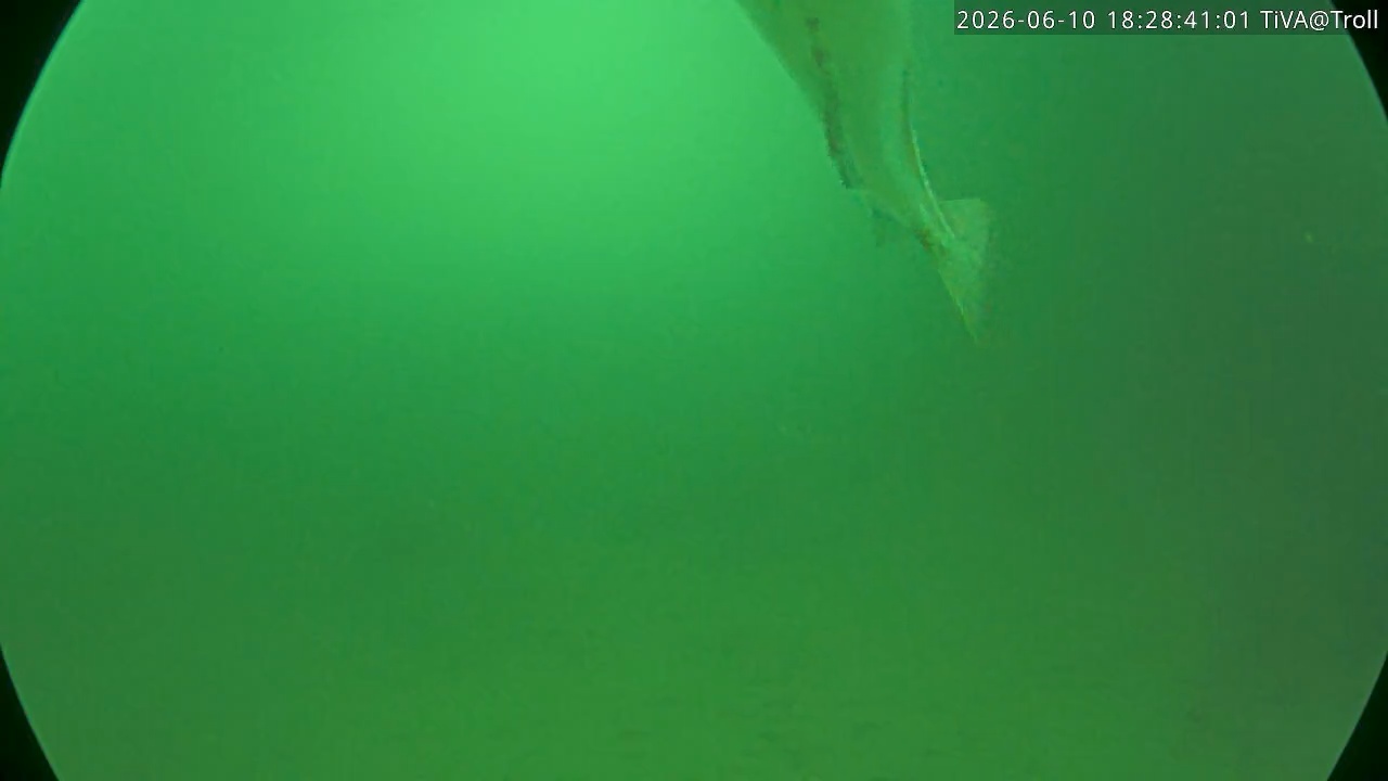 Video 2026-06-10 18:28