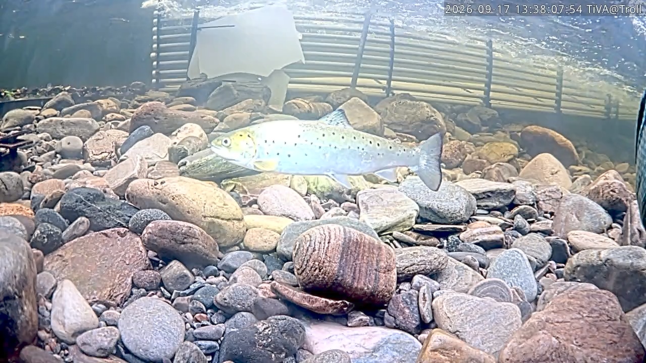 Video 2026-09-17 13:38