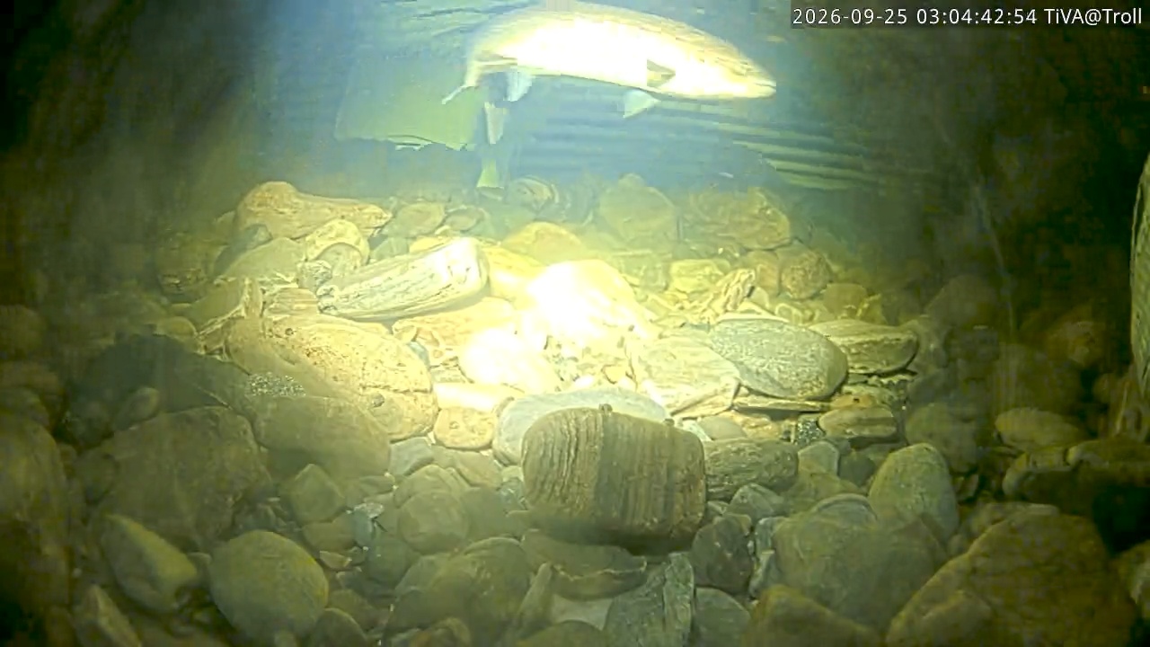 Video 2026-09-25 03:04