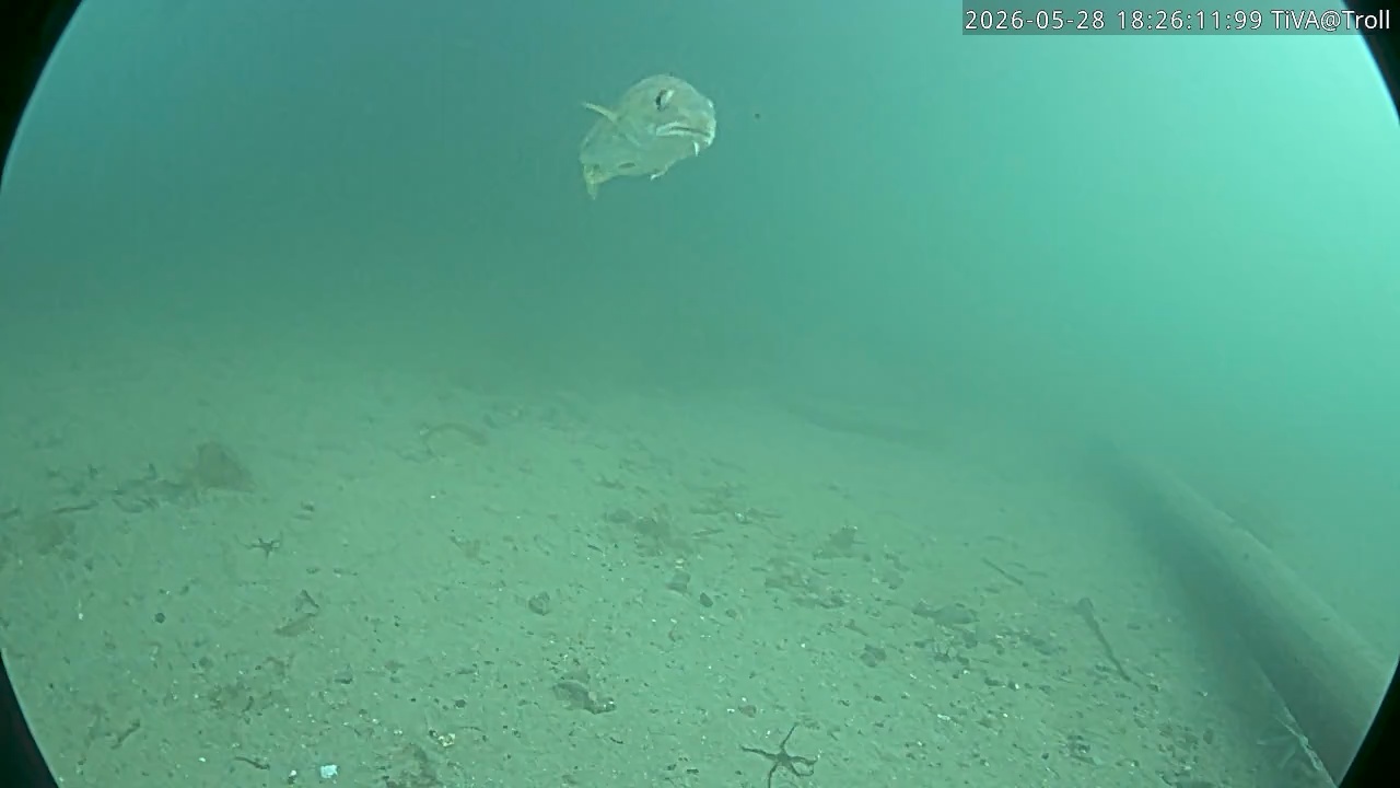 Video 2026-05-28 18:26