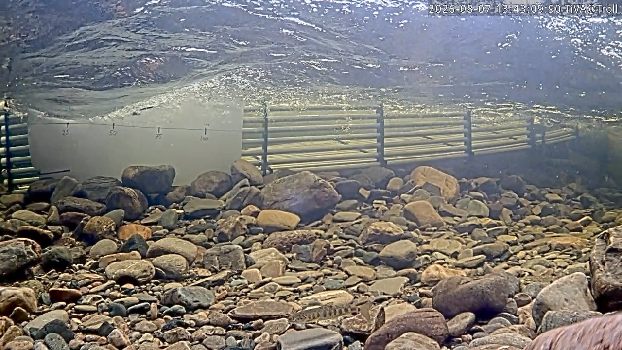 Video 2026-08-07 13:43