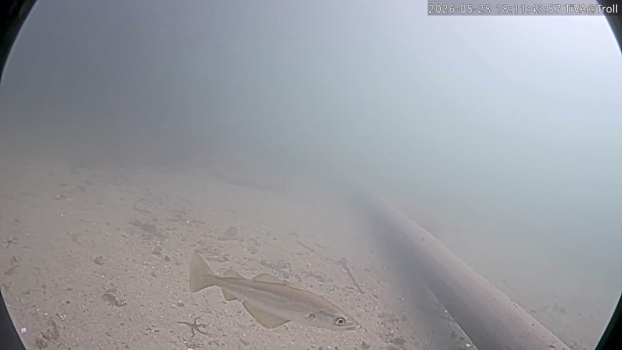 Video 2026-05-28 18:11