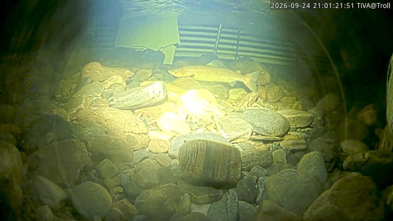 Video 2026-09-24 21:01