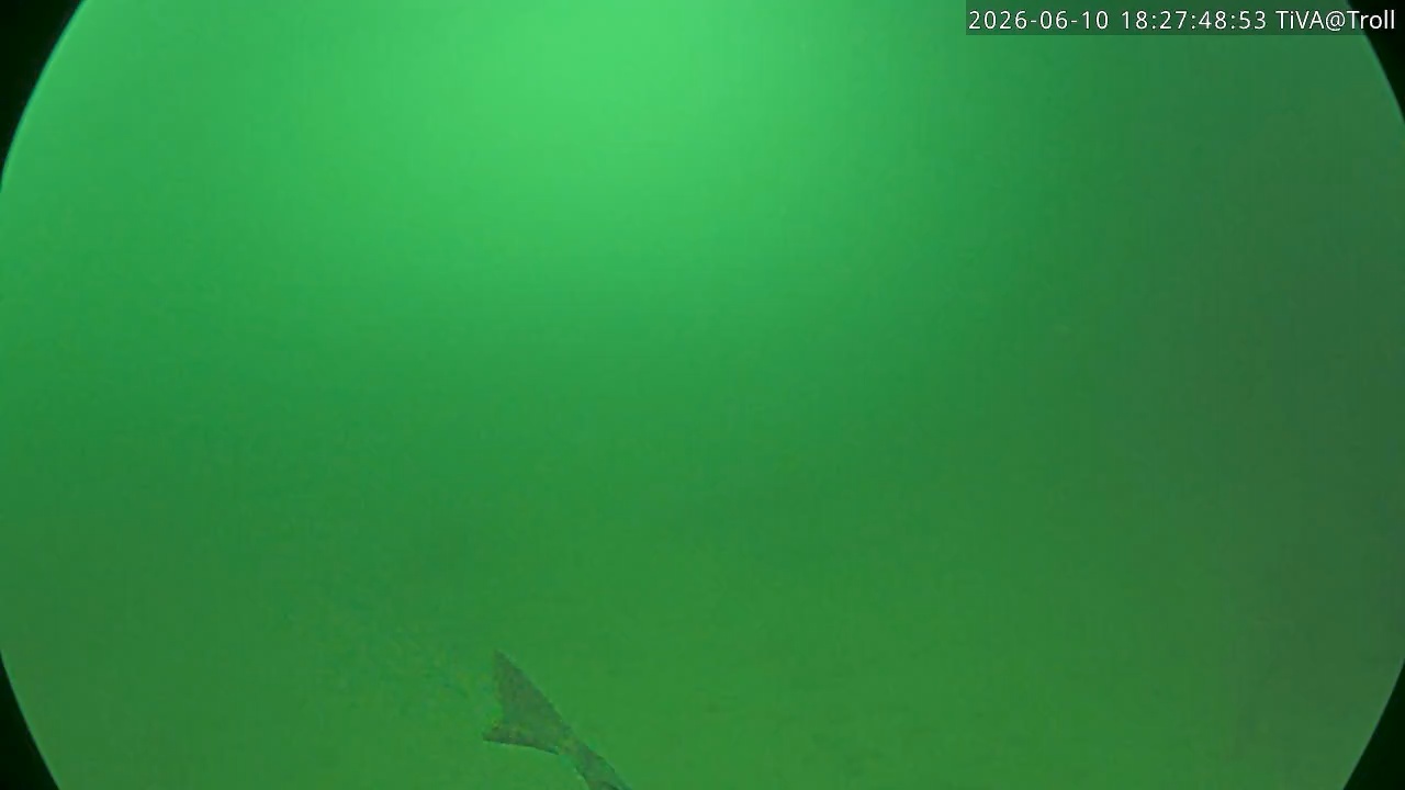 Video 2026-06-10 18:27