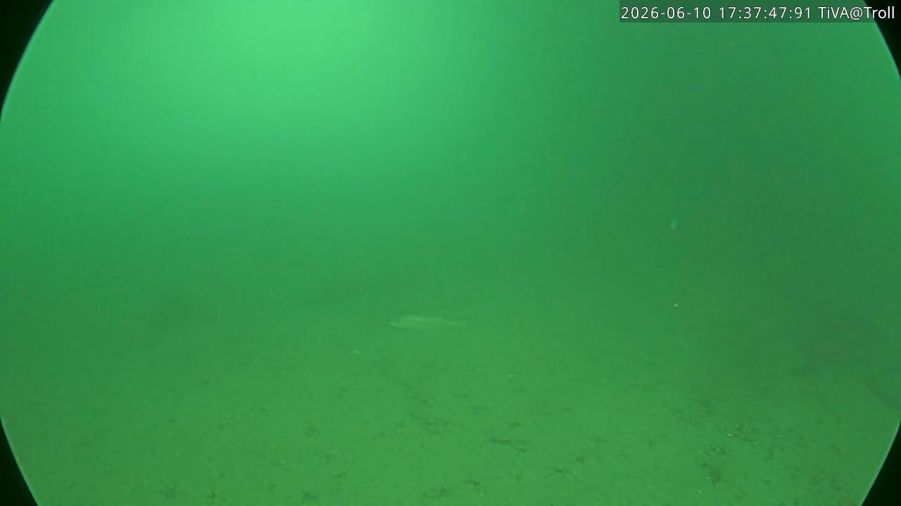 Video 2026-06-10 17:38
