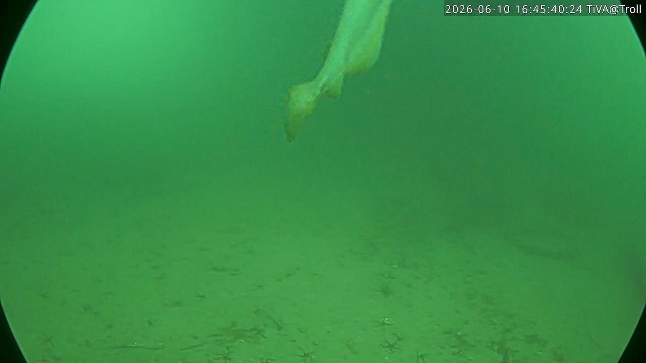 Video 2026-06-10 16:45