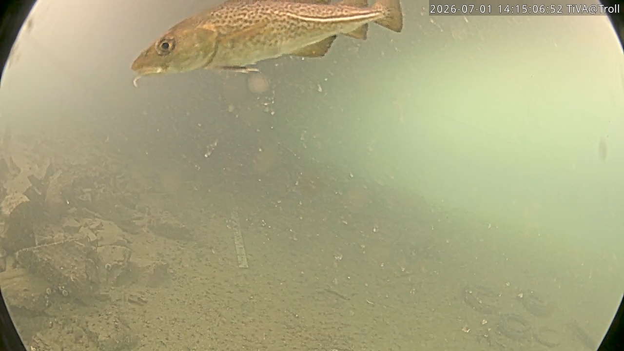 Video 2026-07-01 14:15