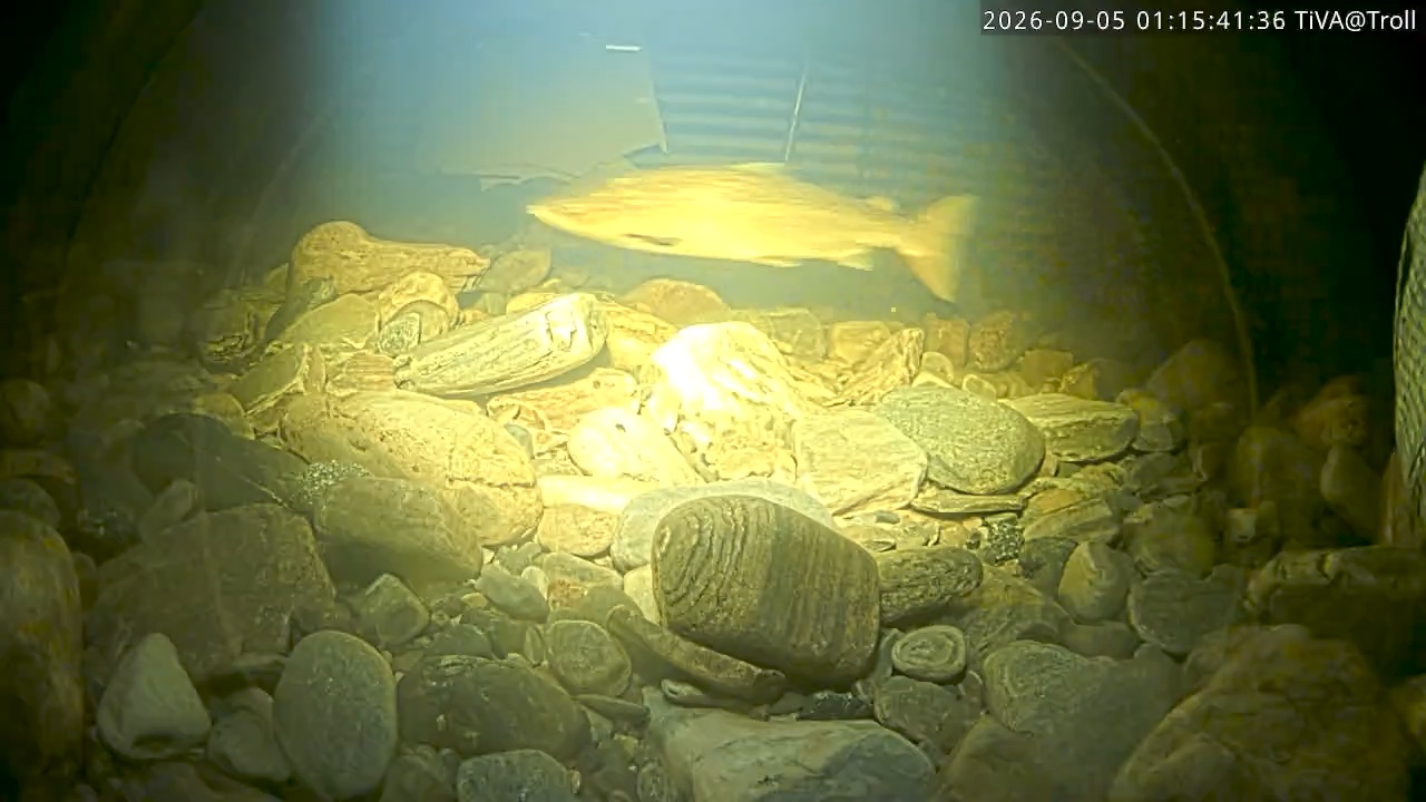 Video 2026-09-05 01:15