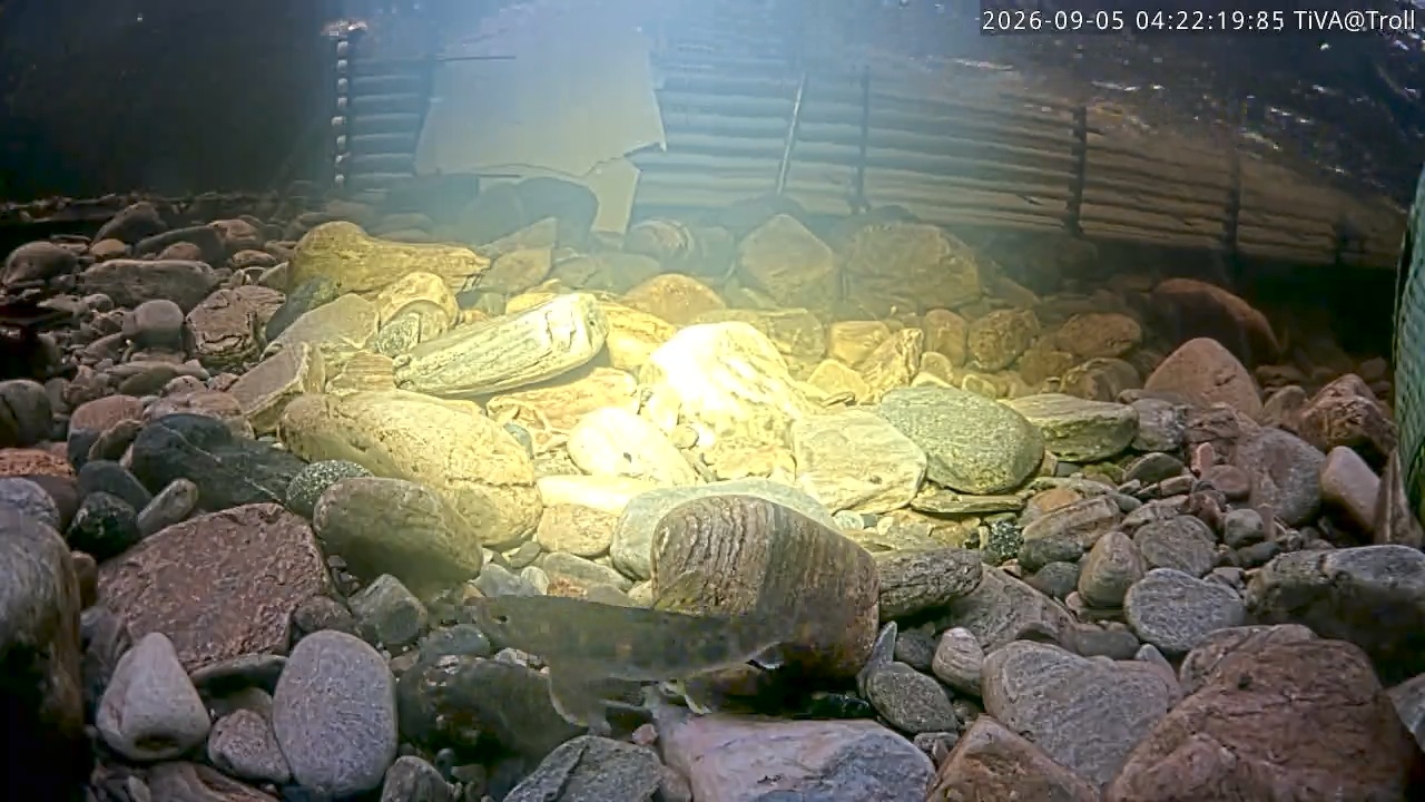 Video 2026-09-05 04:22