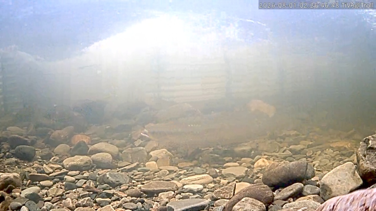 Video 2026-08-01 02:26