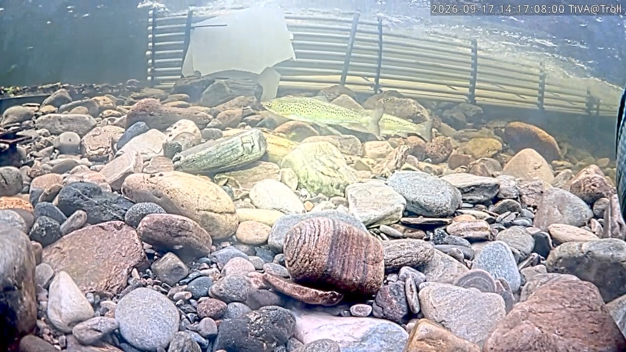 Video 2026-09-17 14:17