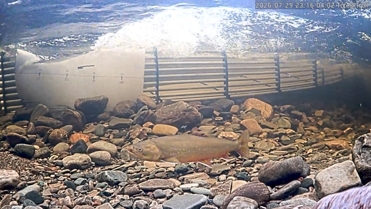 Video 2026-07-29 23:17