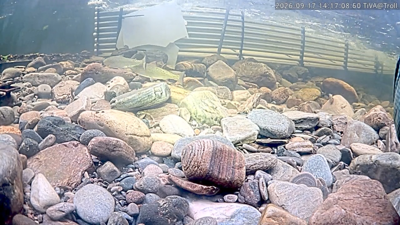 Video 2026-09-17 14:17