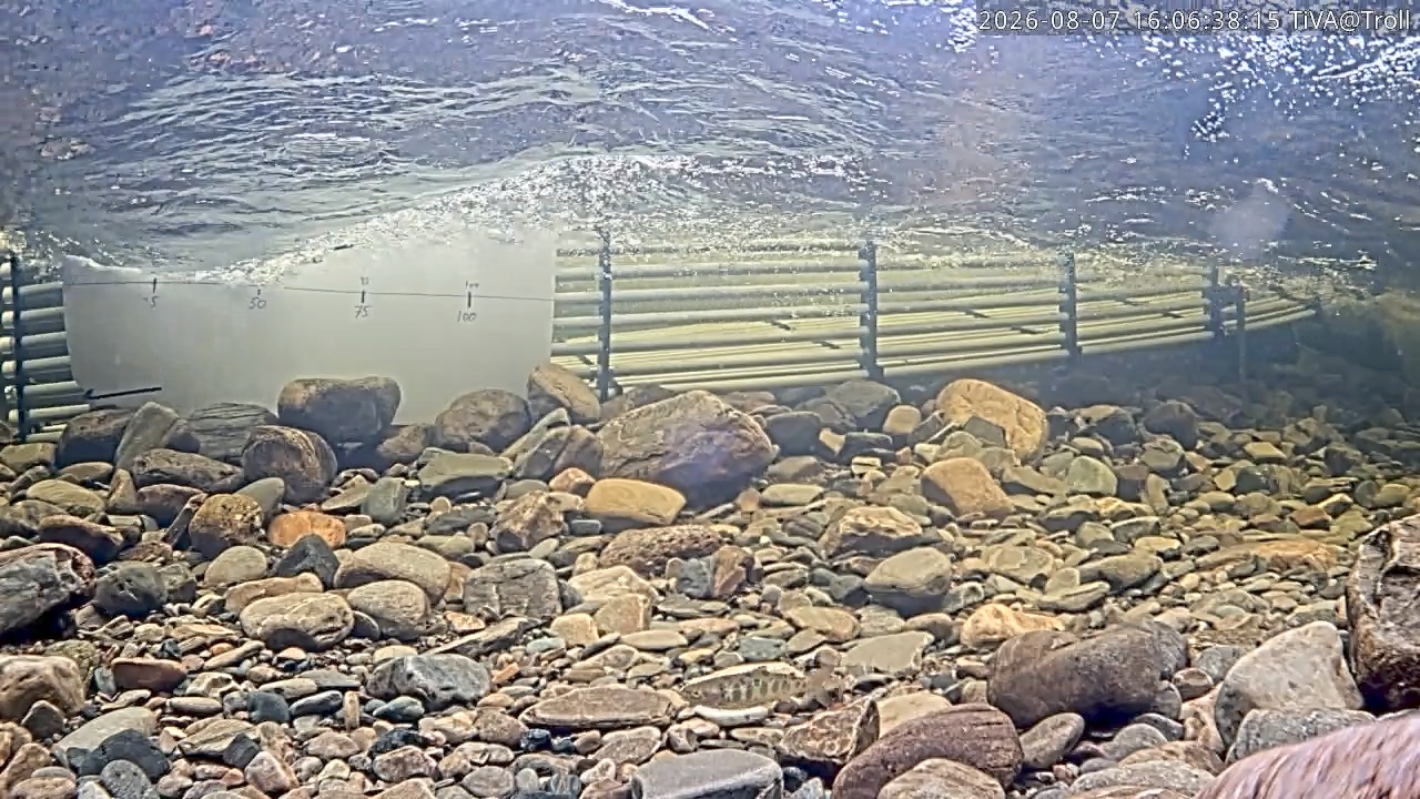 Video 2026-08-07 16:06