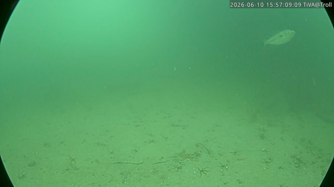 Video 2026-06-10 15:57