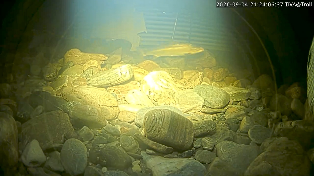 Video 2026-09-04 21:24