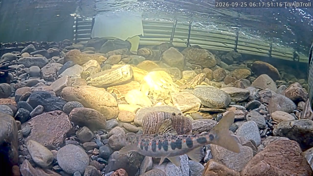 Video 2026-09-25 06:17