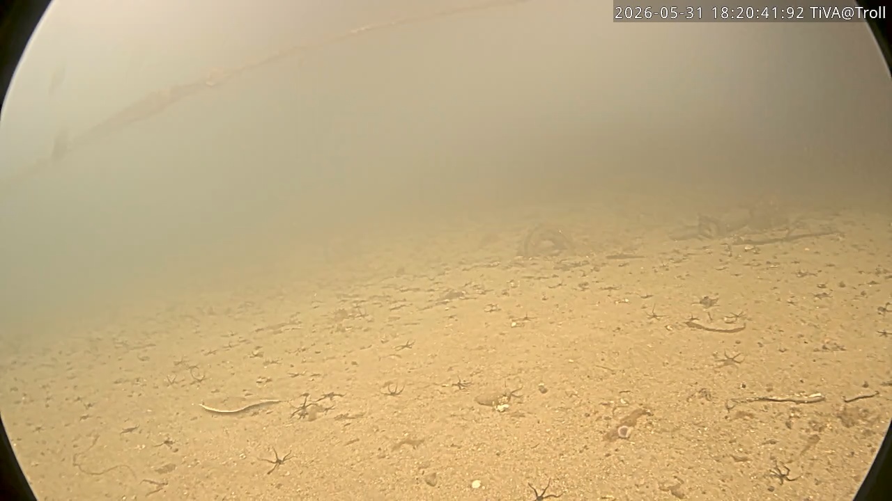 Video 2026-05-31 18:20