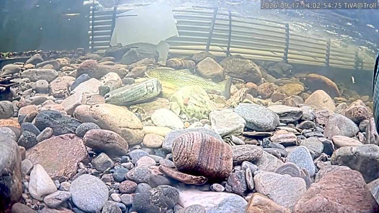 Video 2026-09-17 14:03