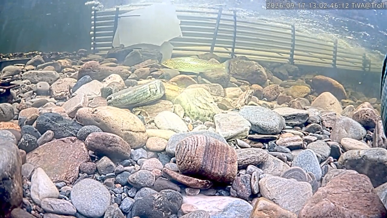 Video 2026-09-17 13:02