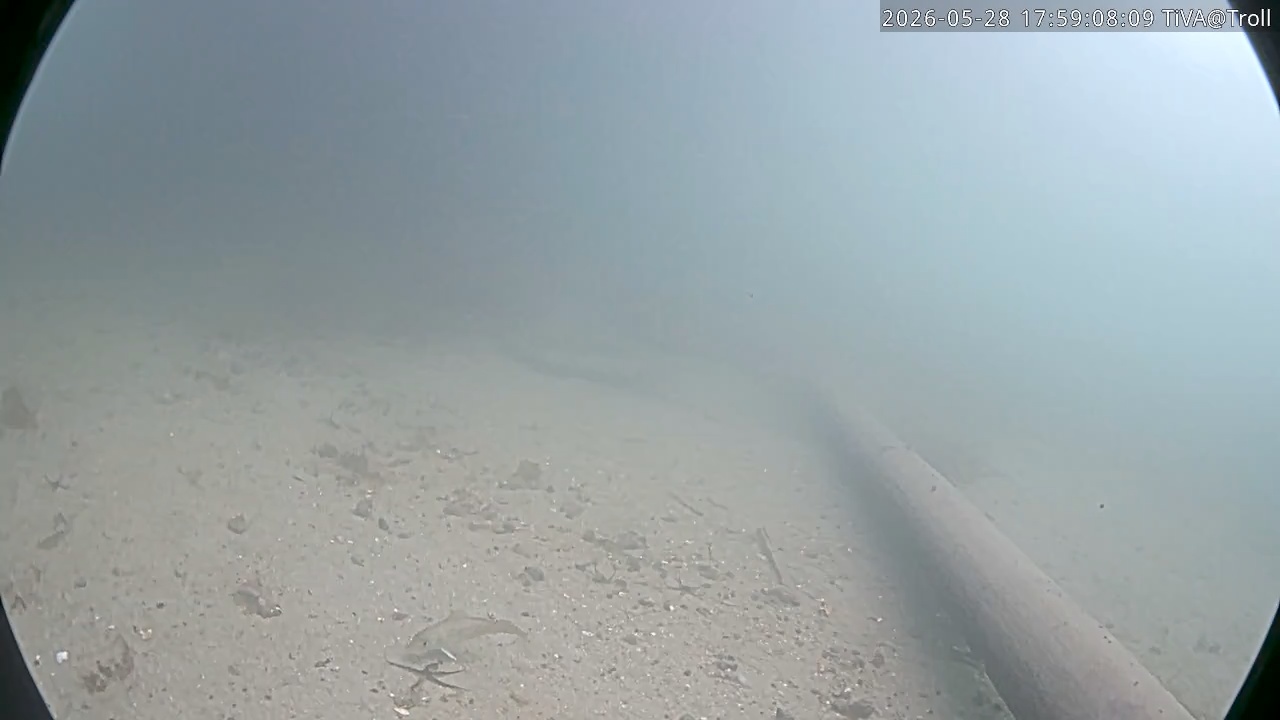 Video 2026-05-28 17:59