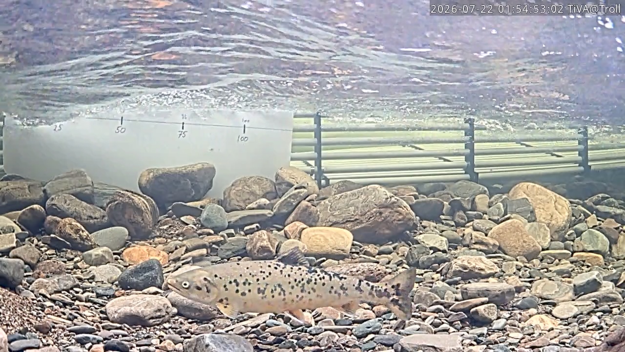 Video 2026-07-22 01:54