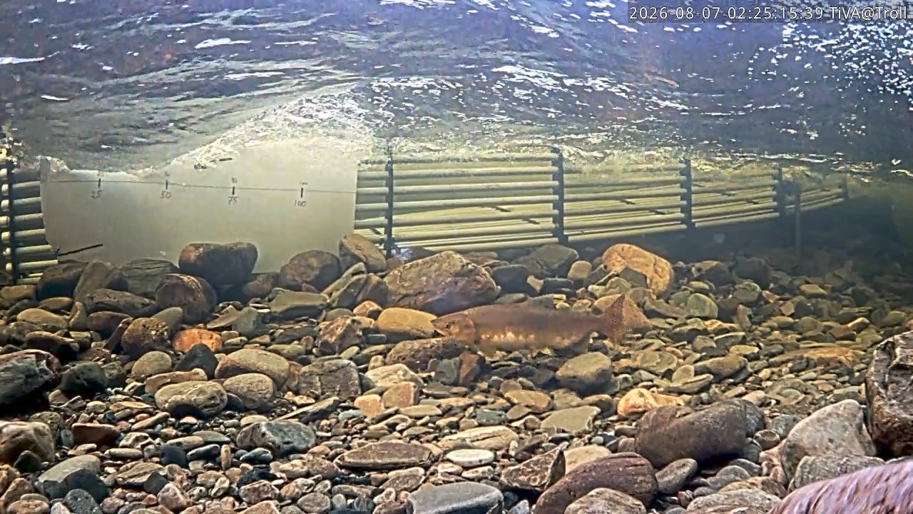 Video 2026-08-07 02:25