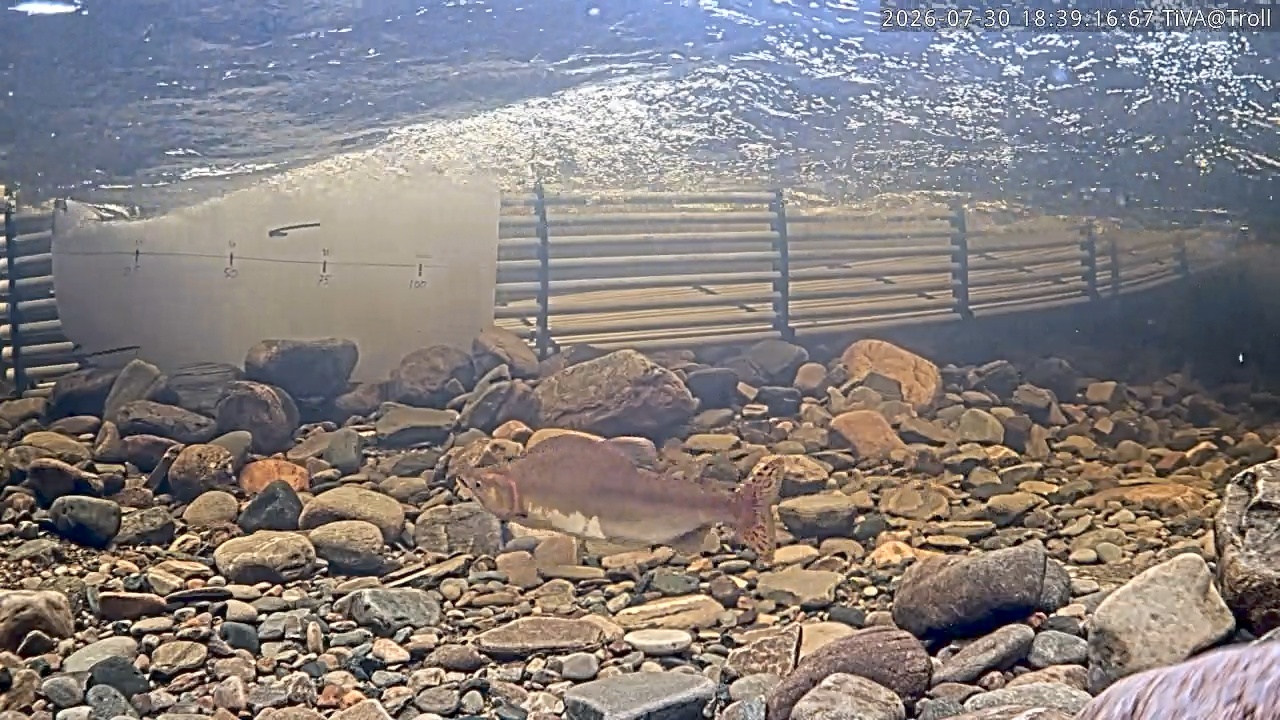 Video 2026-07-30 18:39
