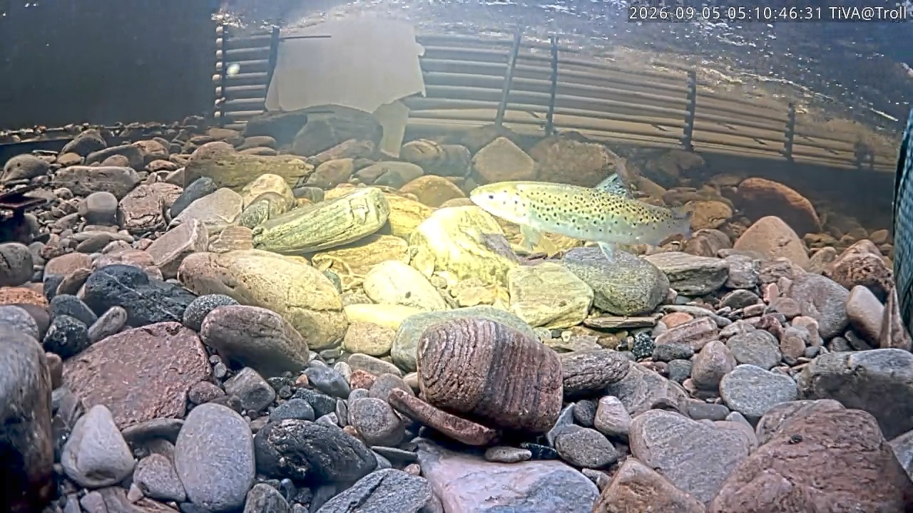 Video 2026-09-05 05:10