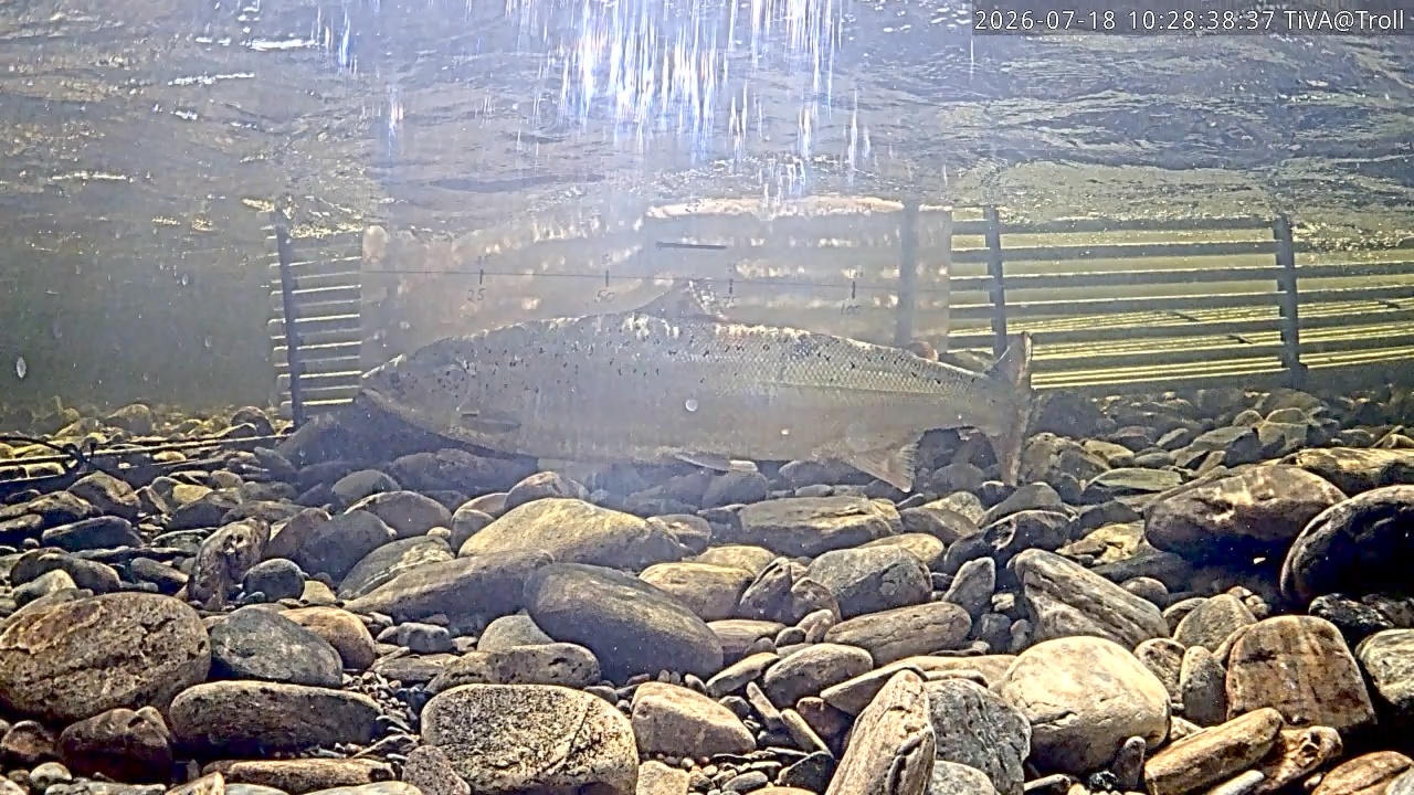 Video 2026-07-18 10:28
