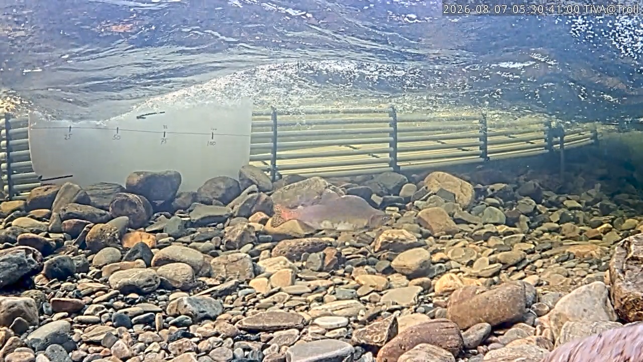 Video 2026-08-07 05:30