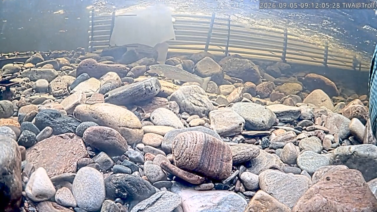 Video 2026-09-05 09:12
