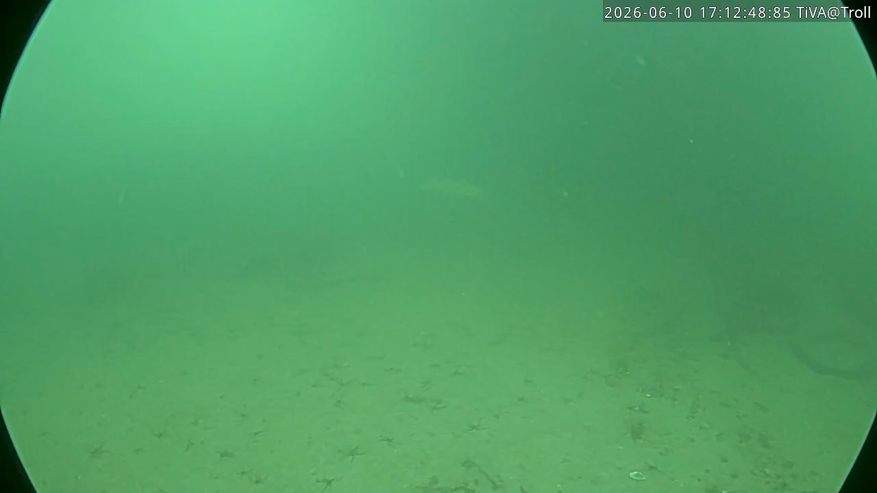Video 2026-06-10 17:12