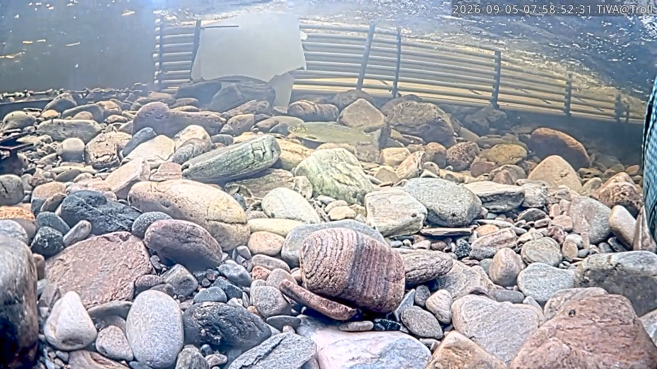 Video 2026-09-05 07:58
