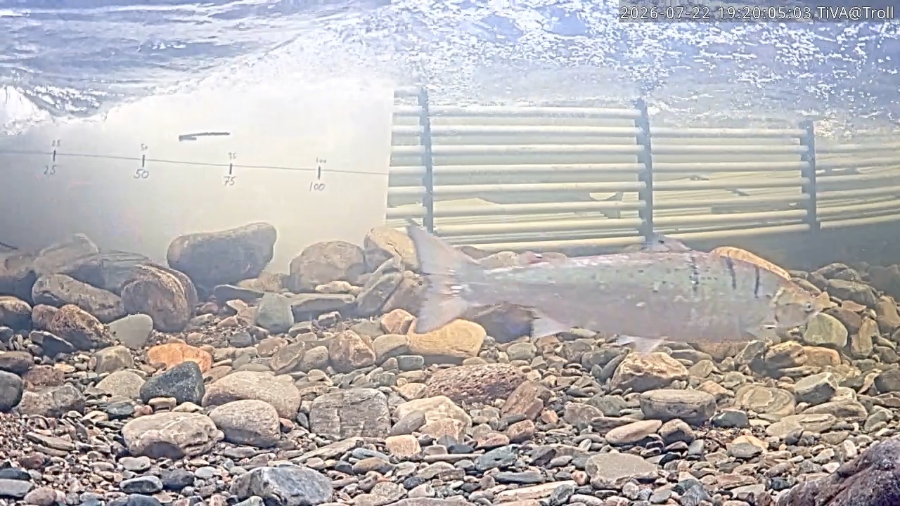 Video 2026-07-22 19:20
