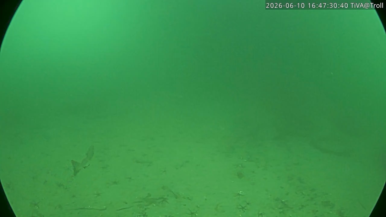Video 2026-06-10 16:47