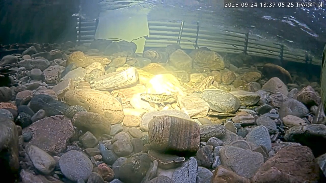 Video 2026-09-24 18:37