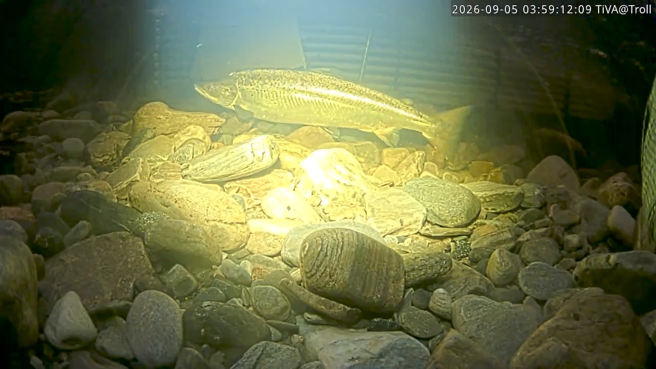 Video 2026-09-05 03:59
