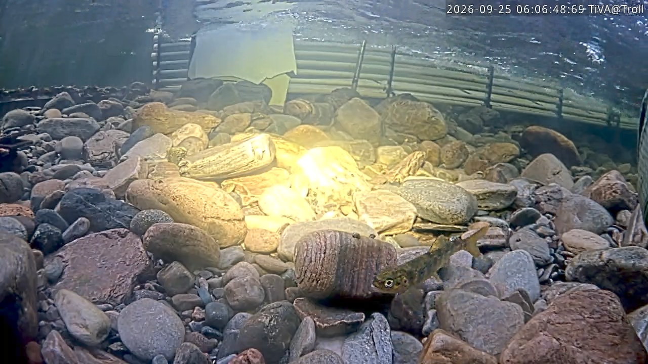 Video 2026-09-25 06:06