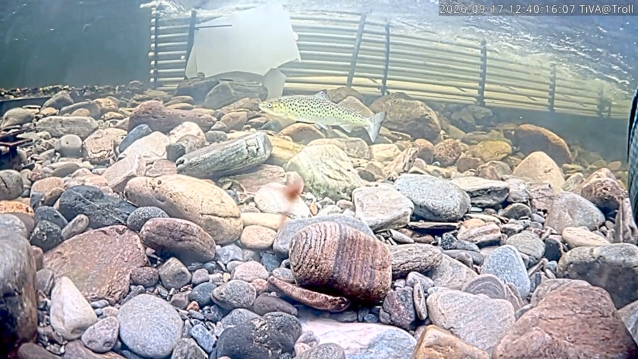 Video 2026-09-17 12:40
