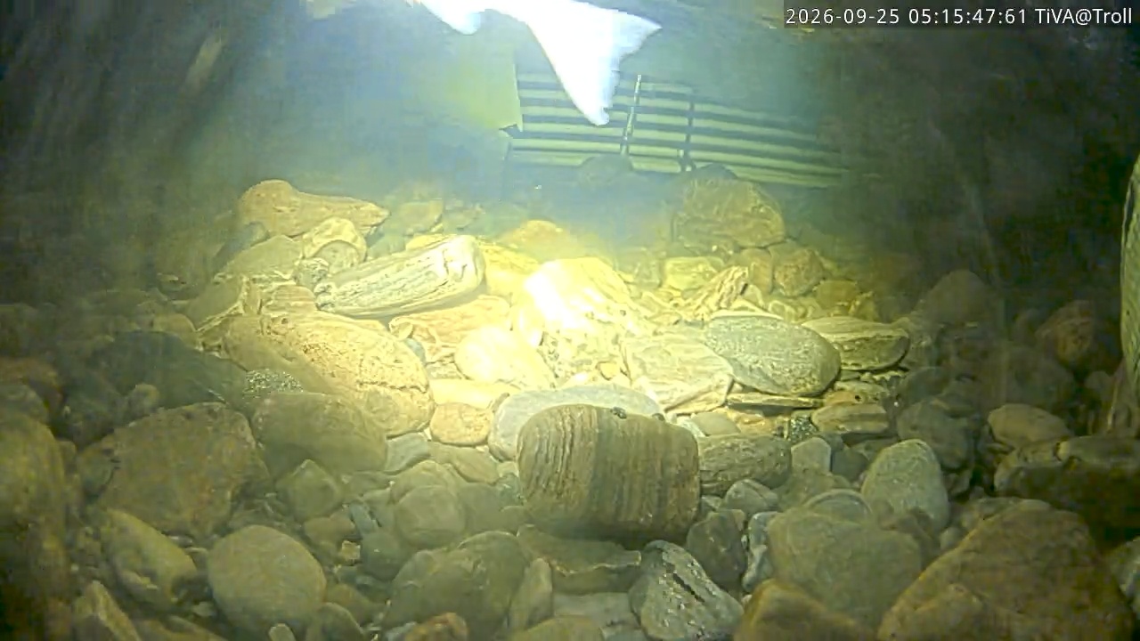 Video 2026-09-25 05:15