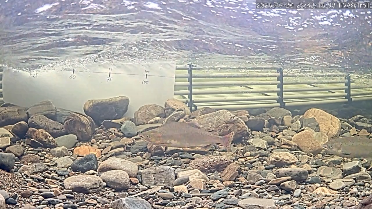 Video 2026-07-20 23:43