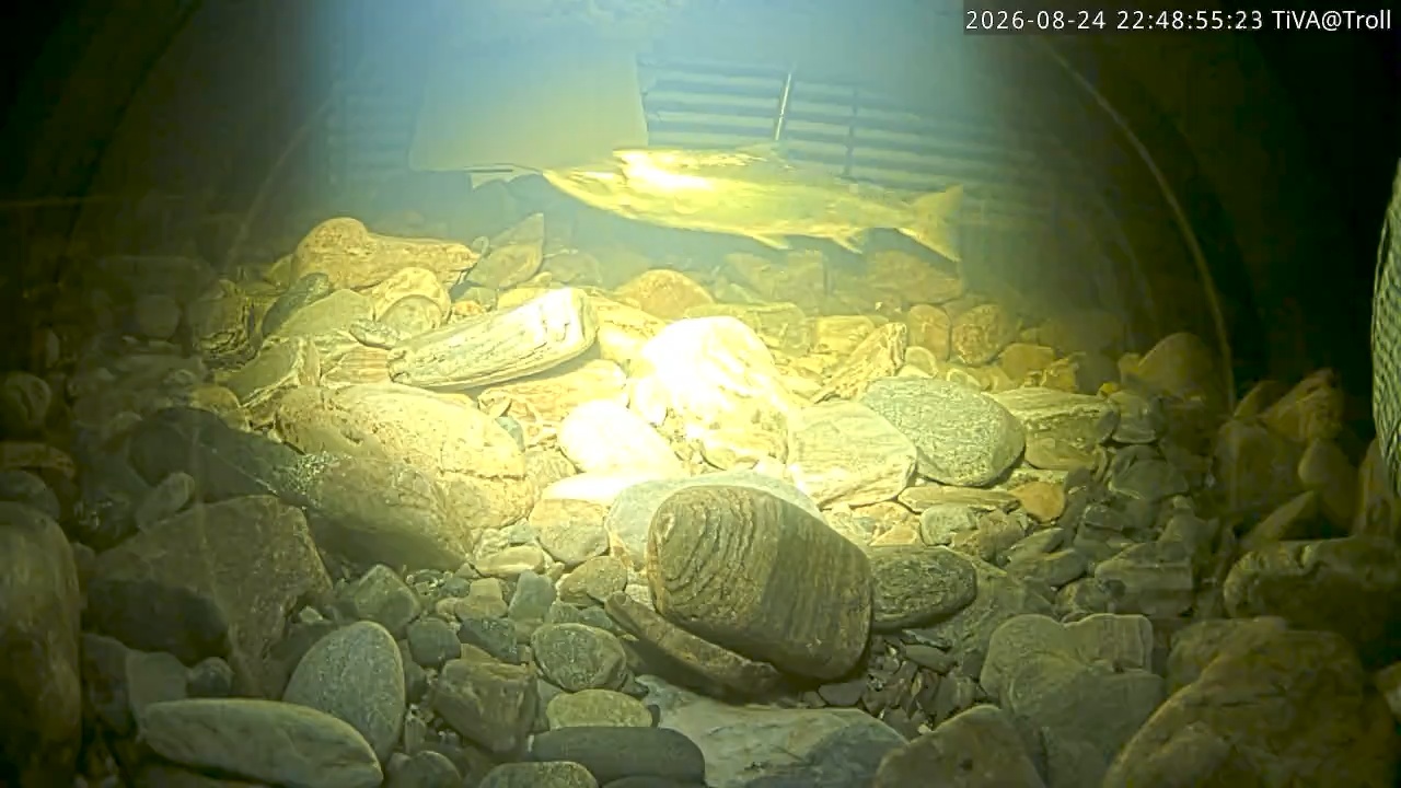 Video 2026-08-24 22:49