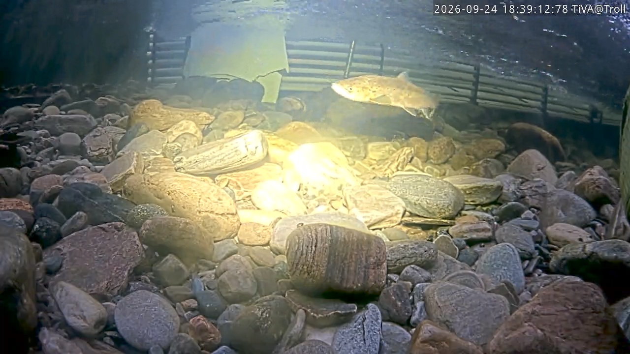 Video 2026-09-24 18:39