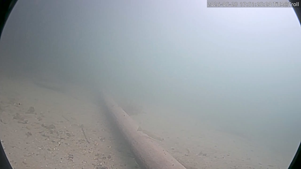 Video 2026-05-28 17:51