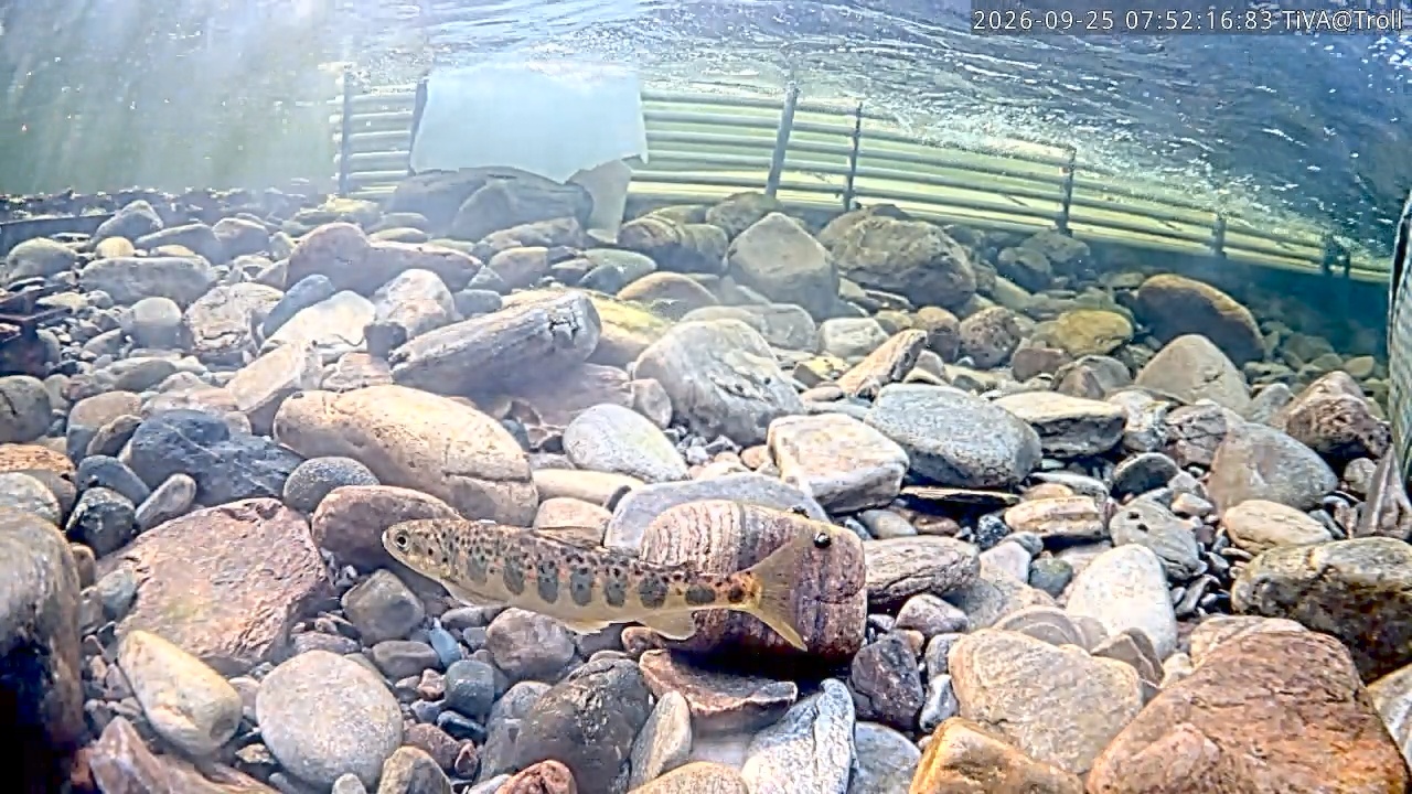 Video 2026-09-25 07:52