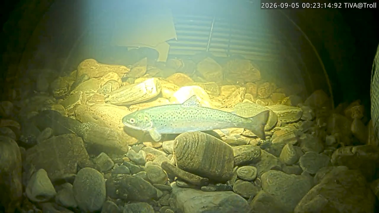 Video 2026-09-05 00:23