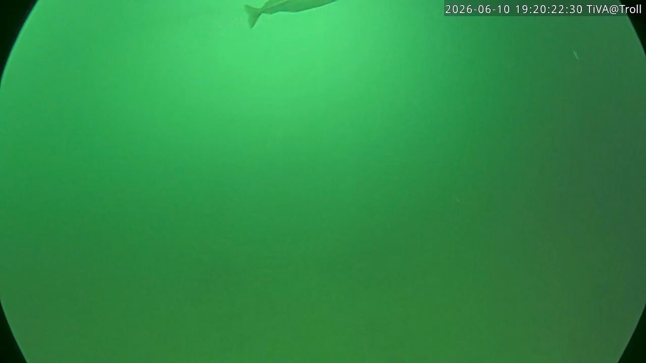 Video 2026-06-10 19:20